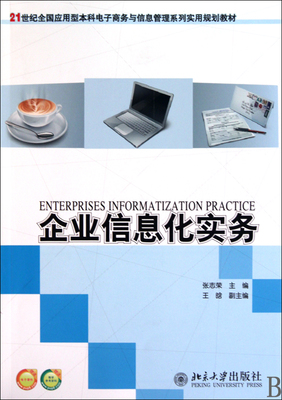 企業信息化實務 現代管理變革與數字化轉型的實踐指南
